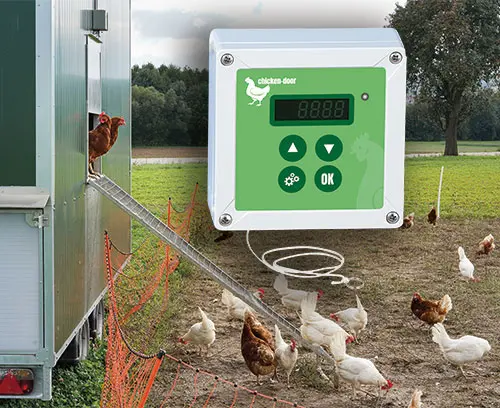 Hühnerklappe Steuerung