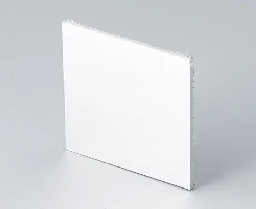 B6112111 Frontplatte